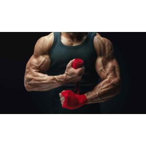 Cosa è meglio, la boxe o la palestra?