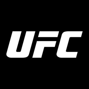 Cos'è l'UFC?